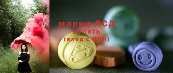 индика Беломорск