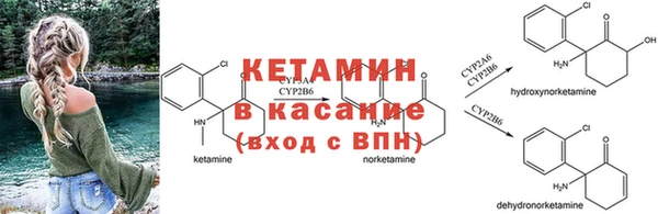 индика Беломорск