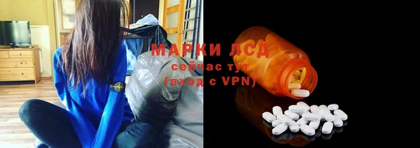 индика Беломорск