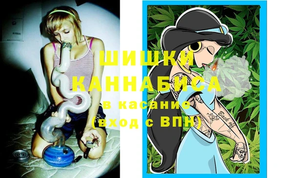 индика Беломорск