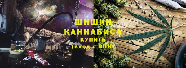 индика Беломорск