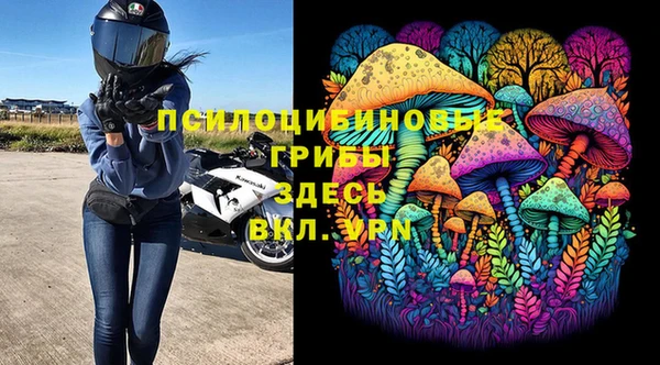 дмт Белокуриха