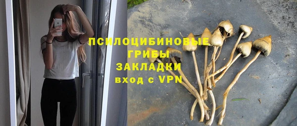 индика Беломорск