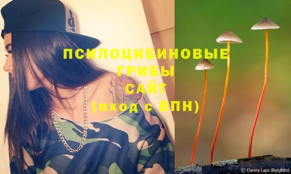 дмт Белокуриха