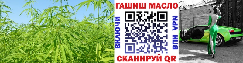 гидра ТОР  наркотики  Городовиковск  Дистиллят ТГК Wax 