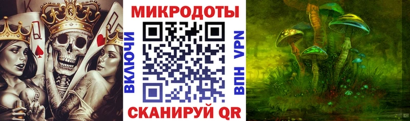 магазин    Городовиковск  Псилоцибиновые грибы мухоморы 